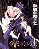 欲望创始主之命运的玩笑
