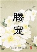 《媵寵》