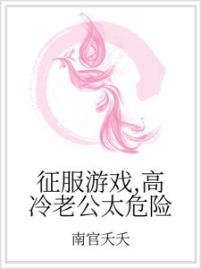 《征服游戏,高冷老公太危险》