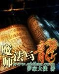 《魔法师与龙》
