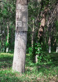 青什园