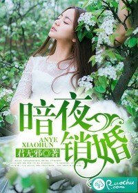 《暗夜销婚》