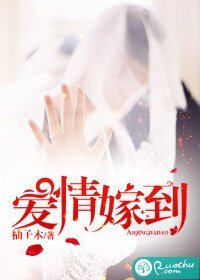 《爱情嫁到》