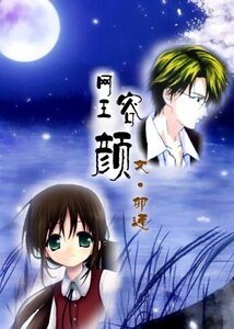 《(网王同人)容颜》