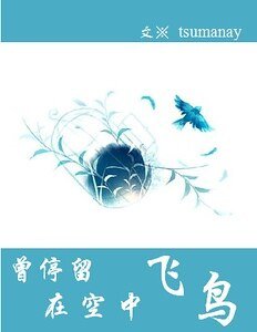 《(家教同人)那隻曾停留在空中的飛鳥》