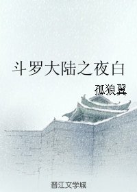 《(斗罗大陆同人)斗罗大陆之夜白》