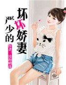 《严少的坏坏娇妻》