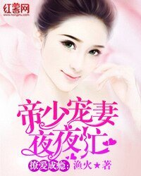 撩爱成瘾:帝少宠妻夜夜忙