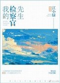 《我的检察官先生》