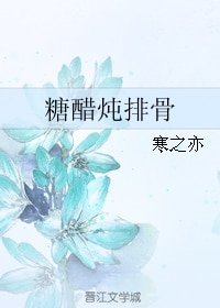 《糖醋炖排骨》