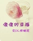 《傻傻的幸福/傻瓜,我等你长大》