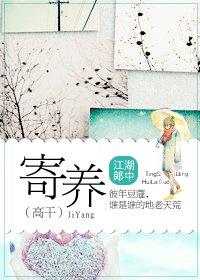 《寄养》