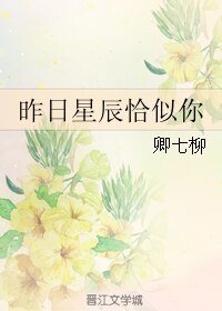 昨日星辰恰似你