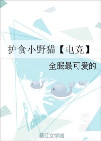 《护食小野猫【电竞】》
