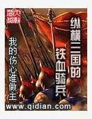 《纵横三国的铁血骑兵》