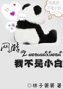《网游之我不是小白》