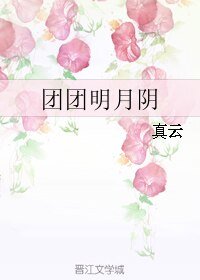 《团团明月阴》