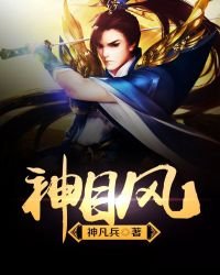 《神目风》