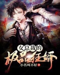 《女總裁的極品狂婿》