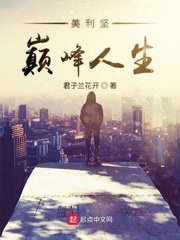 《美利坚巅峰人生》