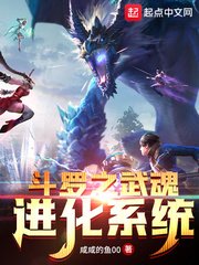 《(斗罗同人)斗罗之武魂进化系统》