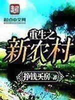 《重生之新农村》