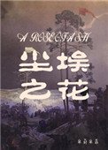 《尘埃之花》