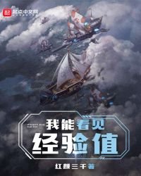 《我能看见经验值》