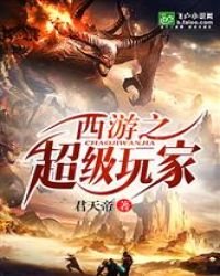 《西游之超级玩家》