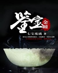 鉴宝金瞳