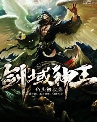 《剑域神王》