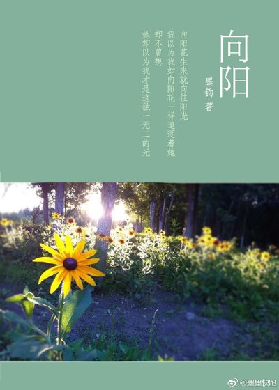 《向阳gl》