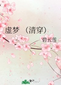 虚梦 （清穿）