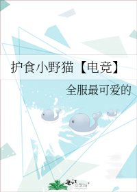 《护食小野猫【电竞】》