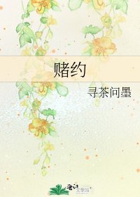 《赌约》