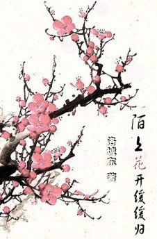 《陌上花開緩緩歸》