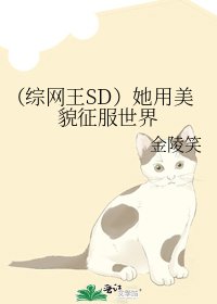 （综网王SD）她用美貌征服世界
