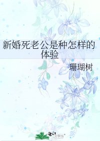 新婚死老公是种怎样的体验