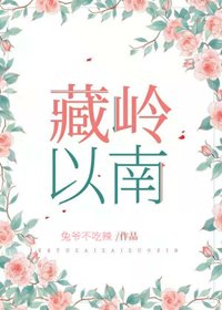 《藏岭以南》