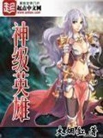 《网游神级英雄》