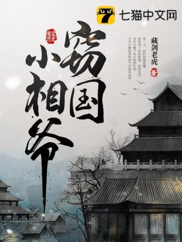 《竊國小相爺》