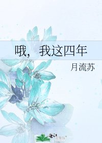 《哦,我這四年》