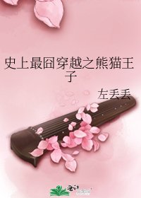 《史上最囧穿越之熊猫王子》