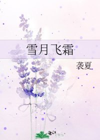 《雪月飞霜》