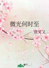 《微光何时至》