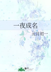 《一夜成名》