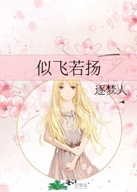《似飛若揚》
