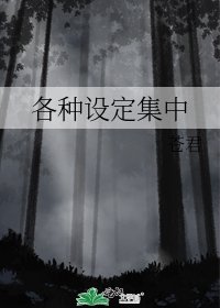 《各種設定集中》