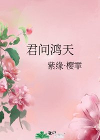 《君问鸿天》