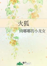 《火狐》